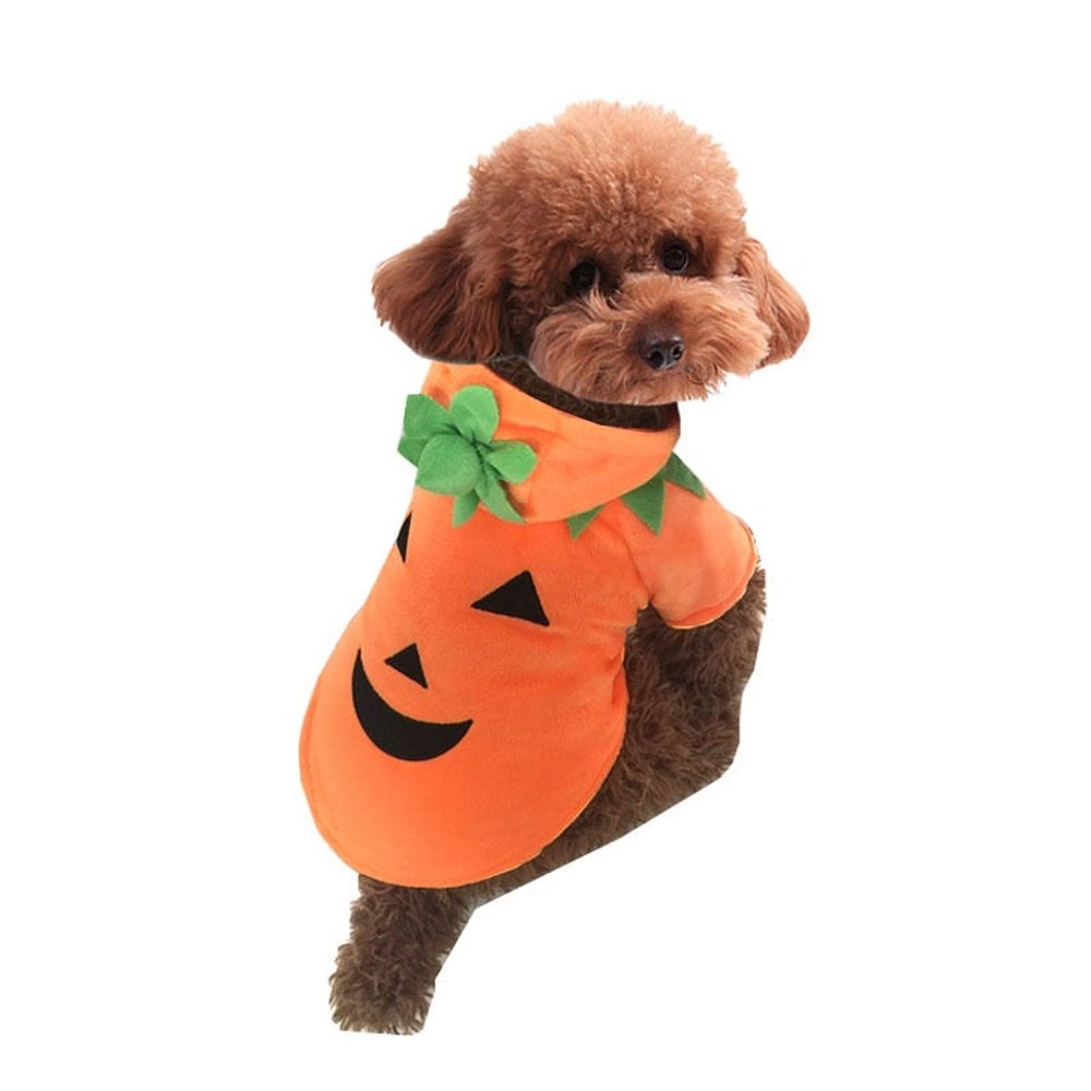 Pet Costume - Pumpkin-Furever Adorable