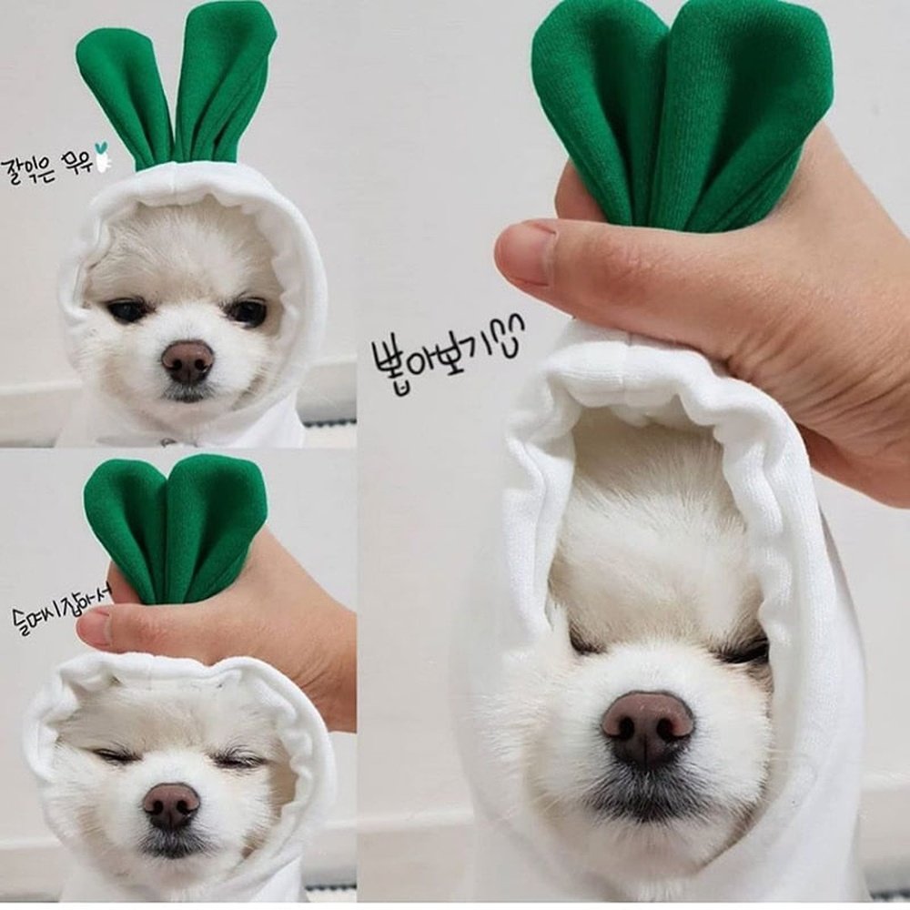 Pet Costume - White Radish-Furever Adorable