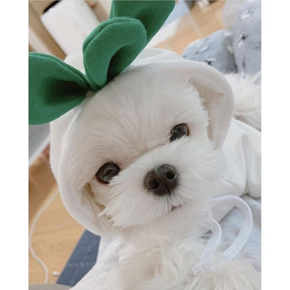 Pet Costume - White Radish-Furever Adorable