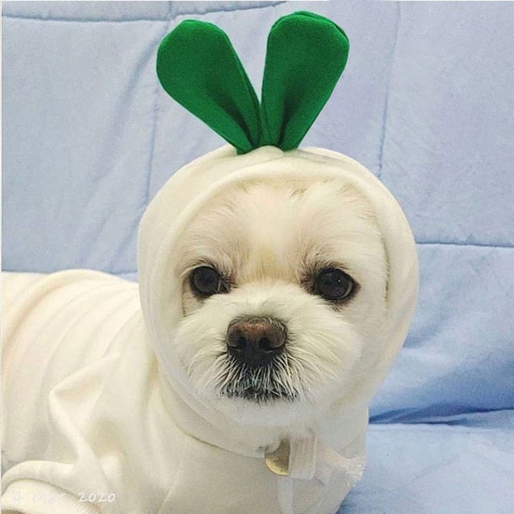 Pet Costume - White Radish-Furever Adorable