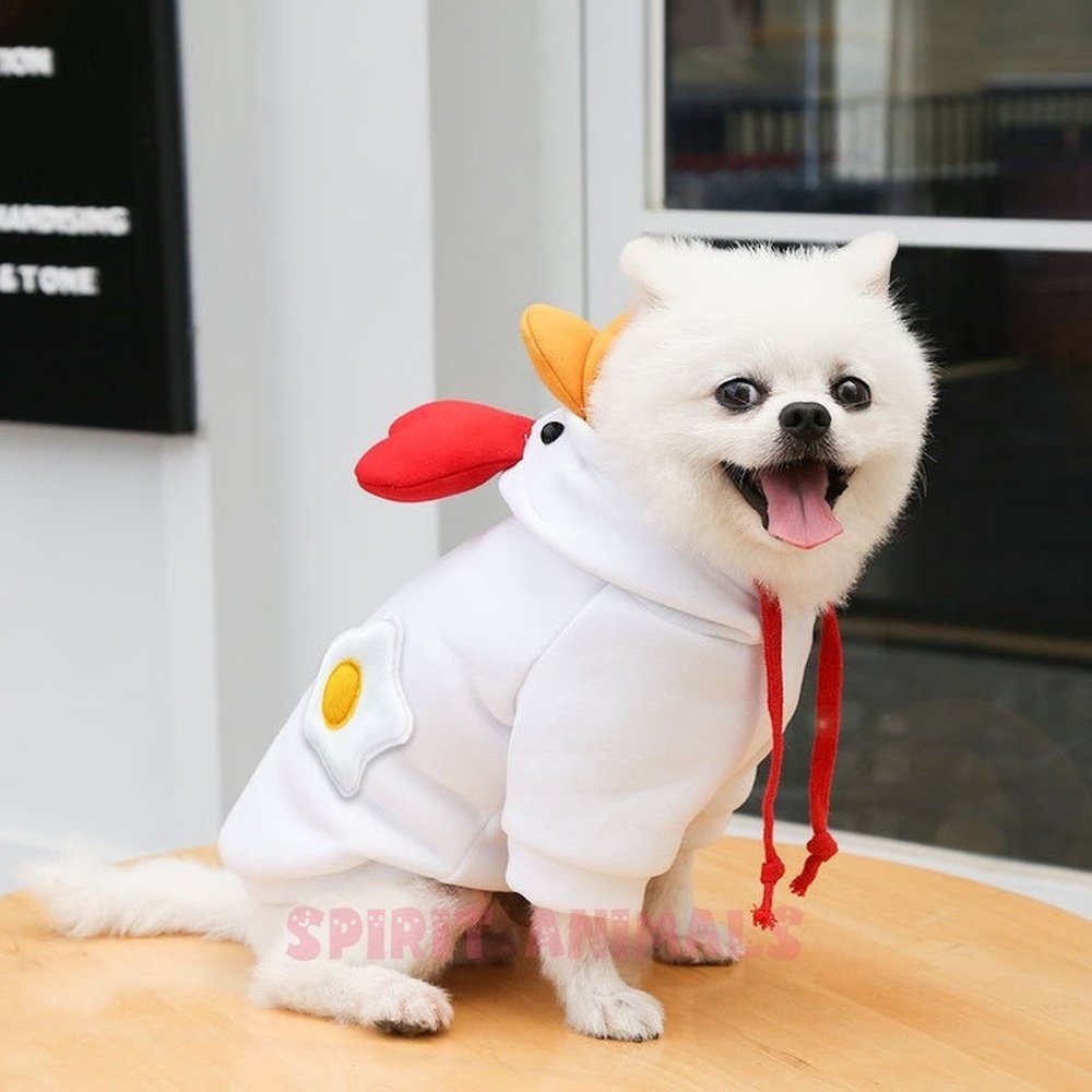 Pet Costume - White / Yellow Chicken-Furever Adorable