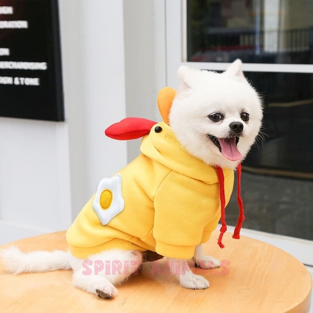 Pet Costume - White / Yellow Chicken-Furever Adorable