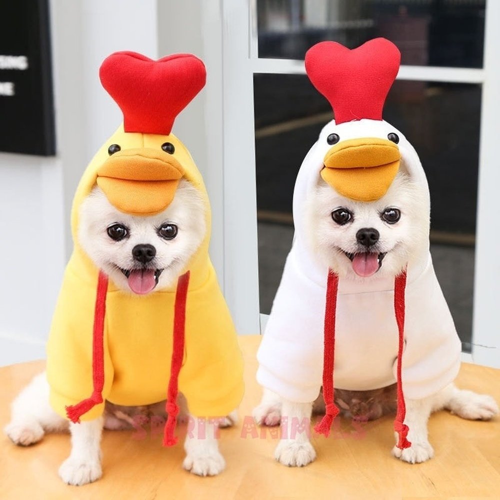 Pet Costume - White / Yellow Chicken-Furever Adorable