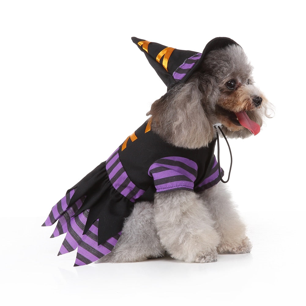 Pet Costume - Wizard-Furever Adorable