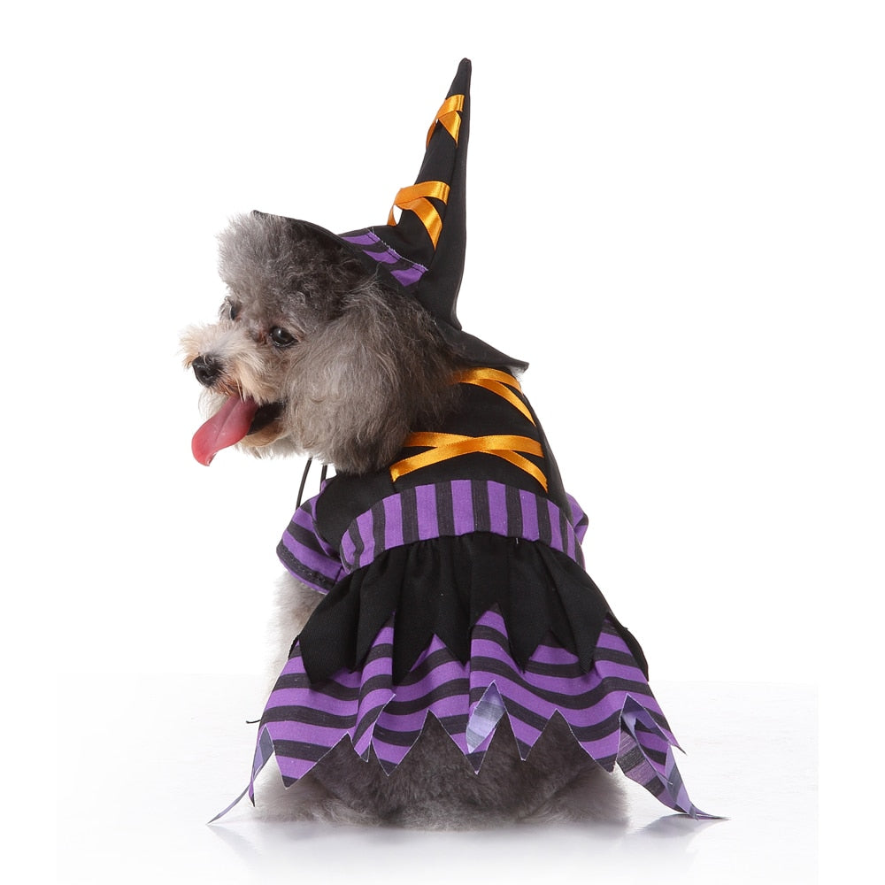 Pet Costume - Wizard-Furever Adorable