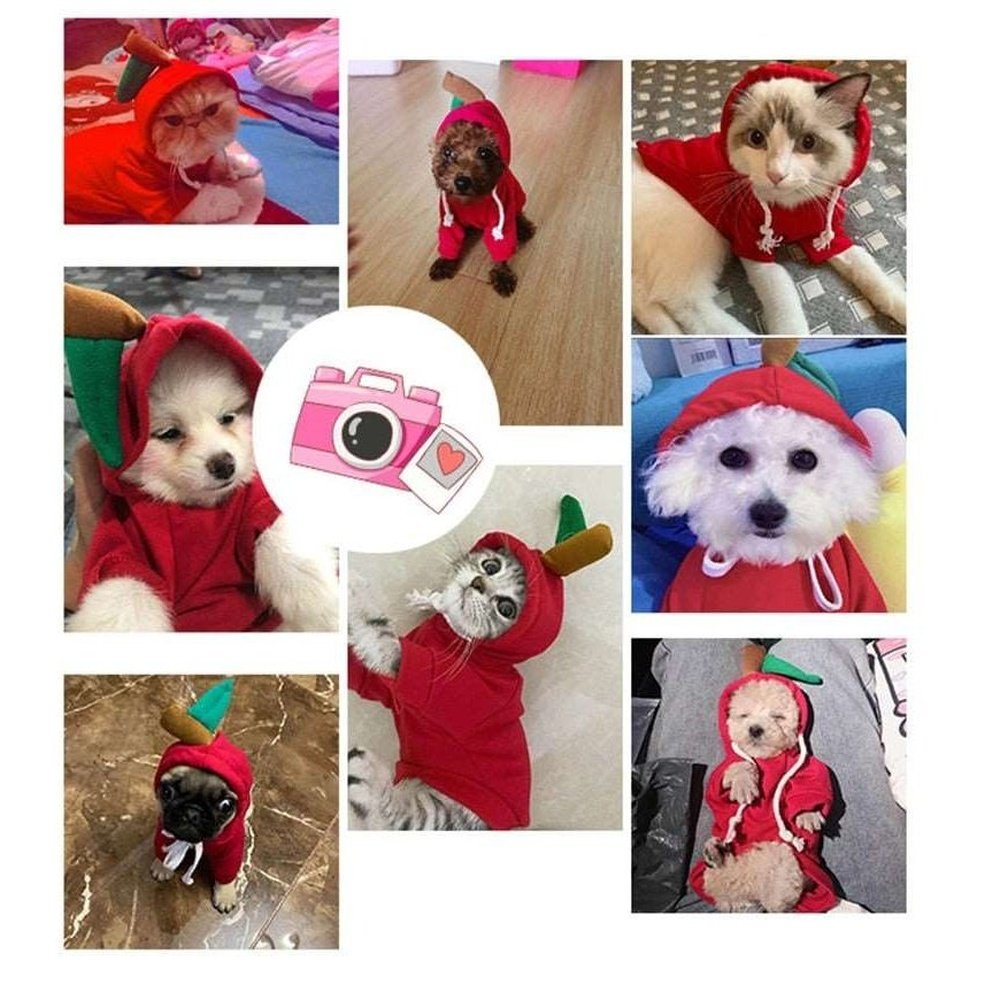 Pet Outfit - Apple-Furever Adorable