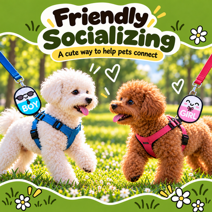 Dogs wearing friendly pet social label patches during a walk