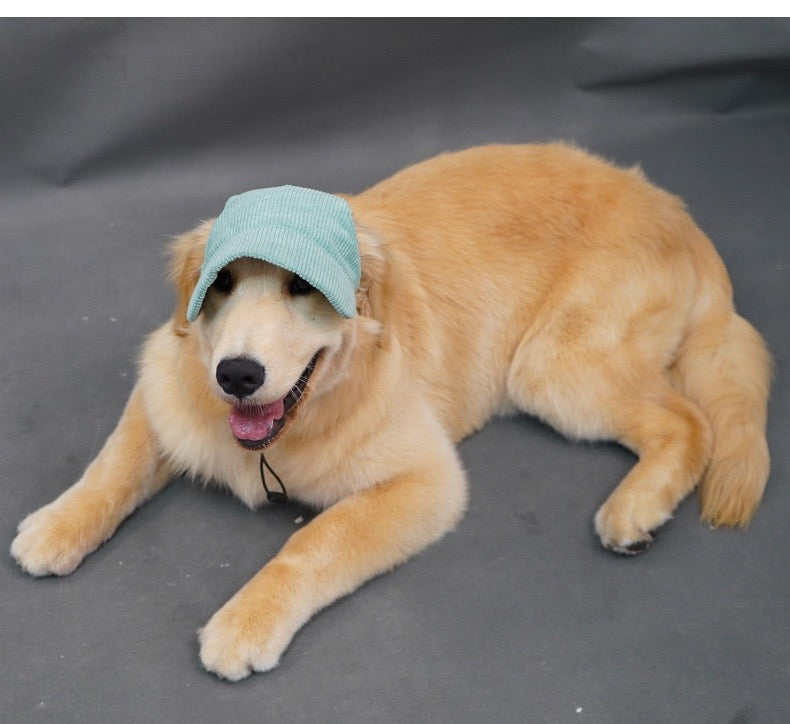 Snuggly Corduroy Sun Visor Hat for Cats & Dogs - Pawfect Pastel Shades Furever Adorable 