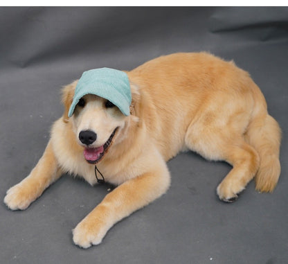 Snuggly Corduroy Sun Visor Hat for Cats & Dogs - Pawfect Pastel Shades Furever Adorable 
