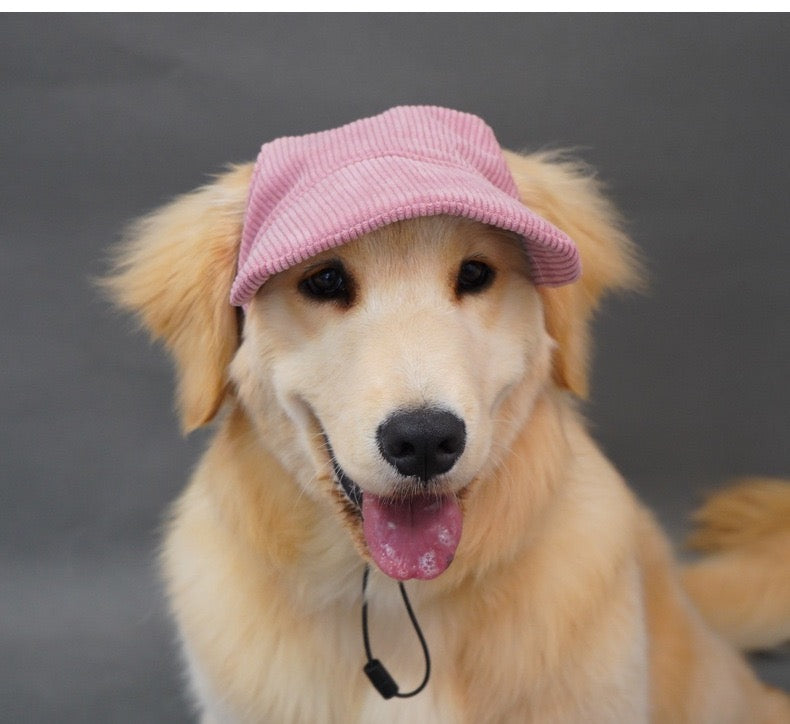 Snuggly Corduroy Sun Visor Hat for Cats & Dogs - Pawfect Pastel Shades Furever Adorable 