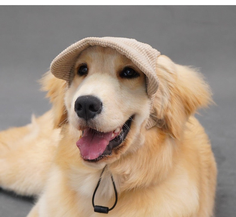 Snuggly Corduroy Sun Visor Hat for Cats & Dogs - Pawfect Pastel Shades Furever Adorable 